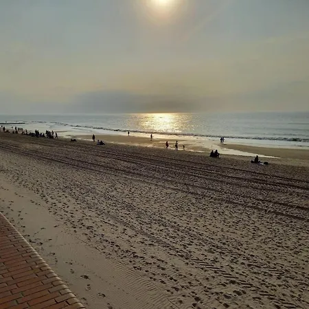 In Auf Sylt, Cleaning Included Appartement